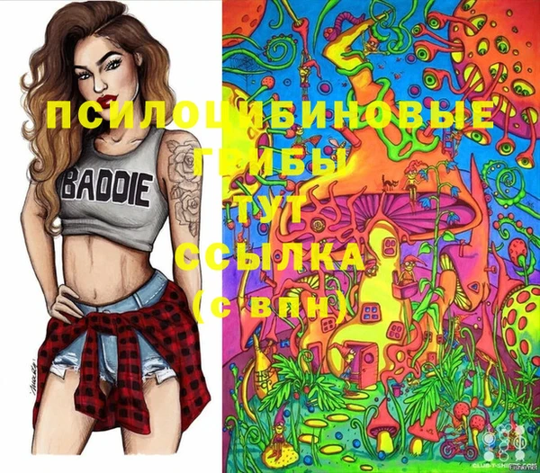 молекула духа Алексин