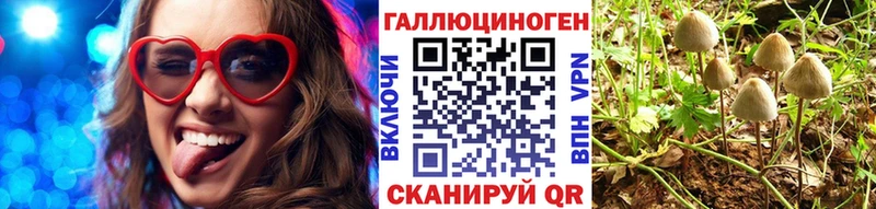 Галлюциногенные грибы Magic Shrooms закладка Тейково